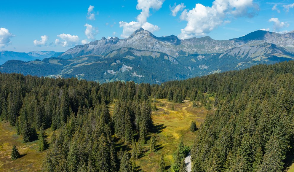 View of the mountains and the Lachat peat bog
