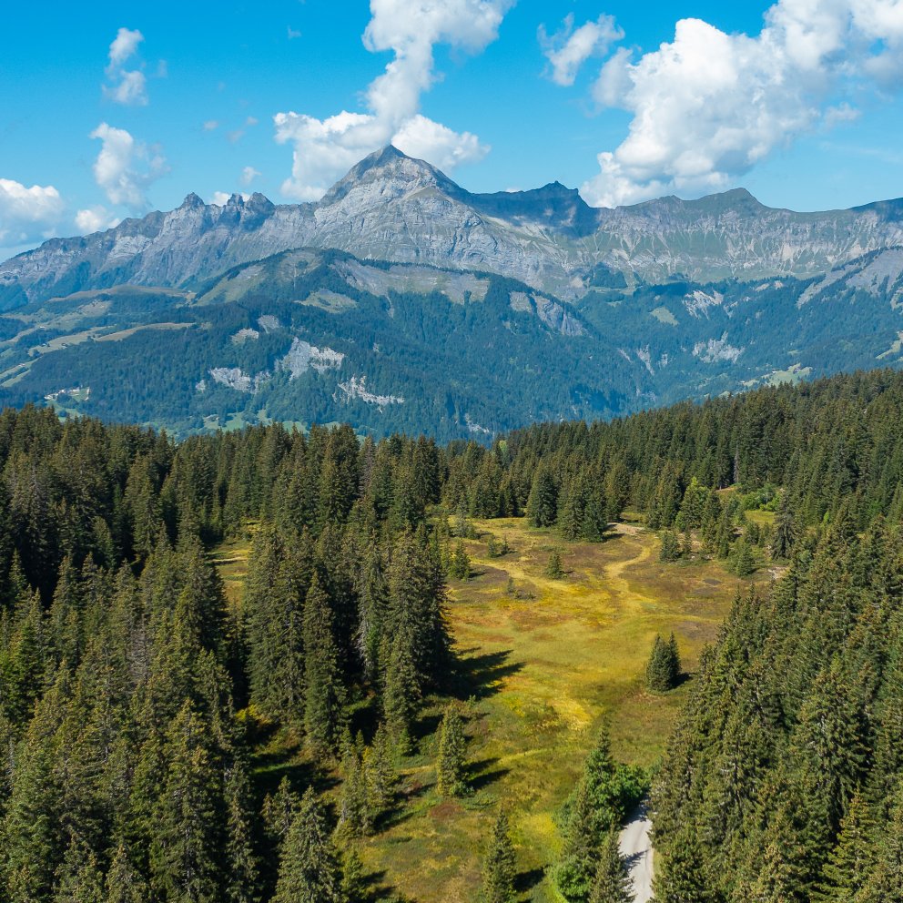 Vue montagnes et tourbière du Lachat