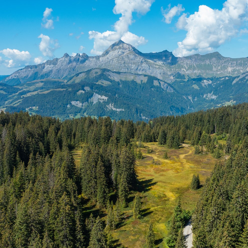 Vue montagnes et tourbière du Lachat