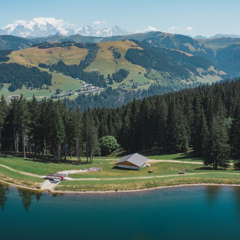 Lac vue Mont Blanc été
