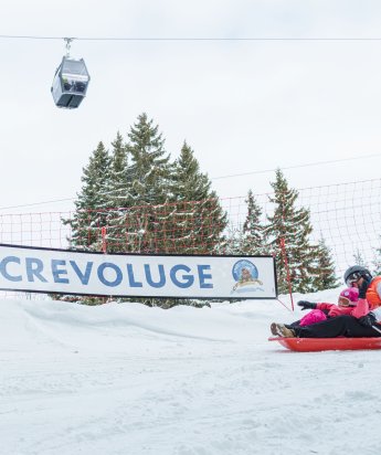 Crestvo'luge