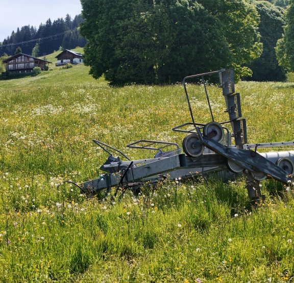 Pylone de la Logère dans un champ
