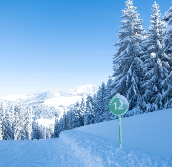 Snowshoe Hikes in Crest-Voland Cohennoz