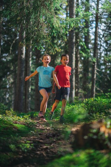 Deux enfants sur un sentier de forêt