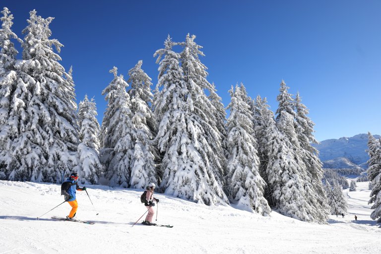 Deux skieurs devant des sapins couverts de neige