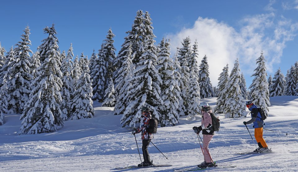Trois amis sur les pistes