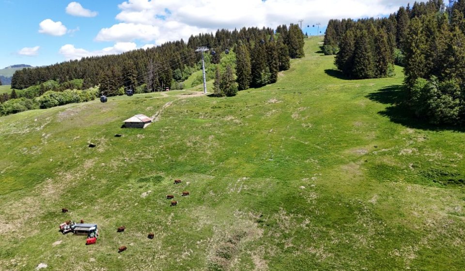 Télécabine en été